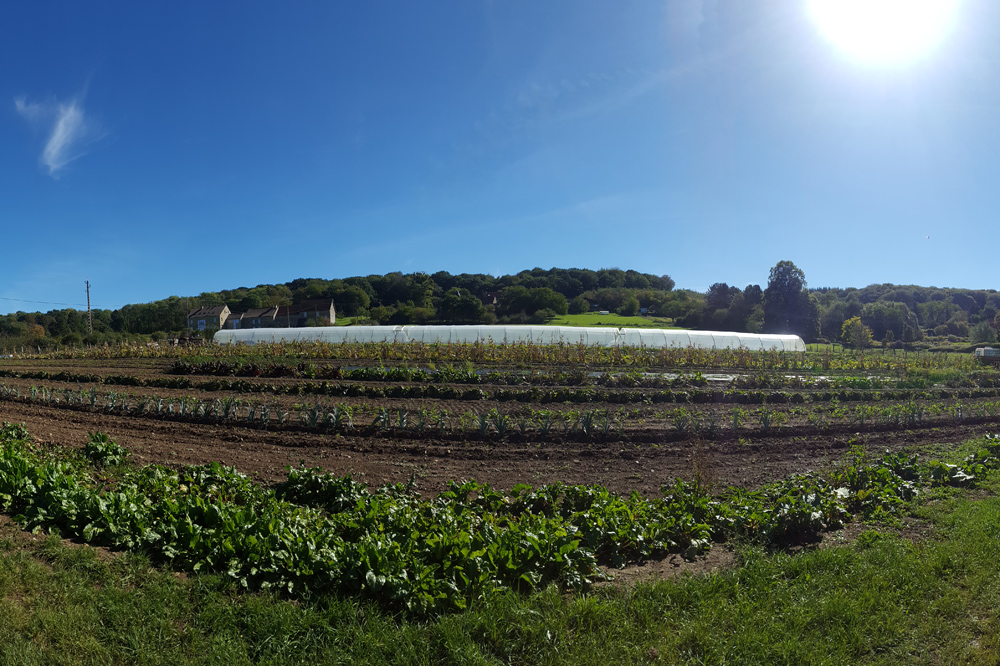 Serre au Jardin du Grand Duc
