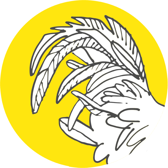 picto-plumes Dessin de plumes