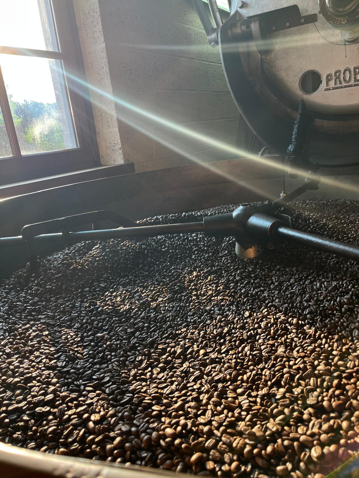 530437601_122195427392589562_5989803870926077835_n (1)